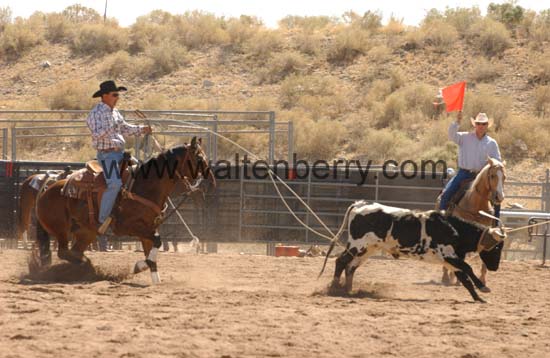 team rope AZ05p47- 012