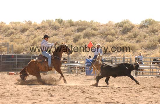 team rope AZ05p47- 016