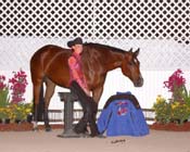 634 AZ07pAW.10- 017 peterson