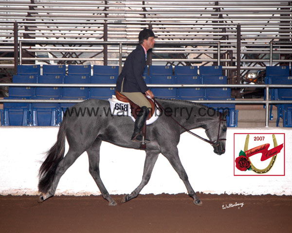 658 AZ07p3- 007 hall