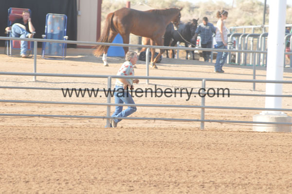 laVoy AZ08p2- 001