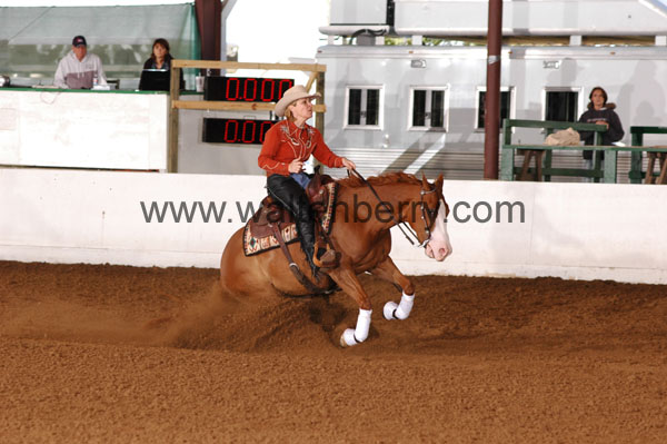 304 BC08p14B.1 - 151