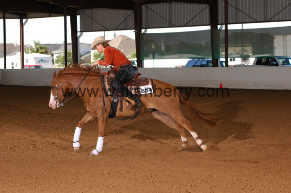 304 BC08p14B.1 - 154