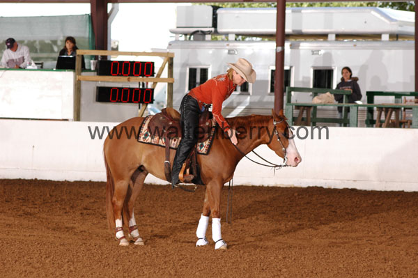 304 BC08p14B.1 - 156