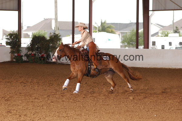 304 BC08p18A.3 - 118