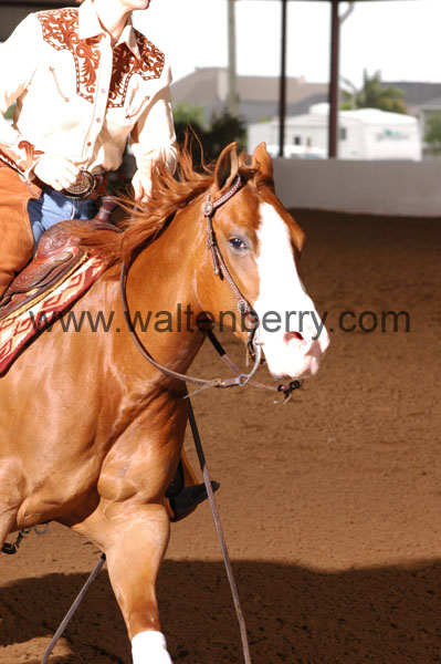 304 BC08p18A.3 - 123