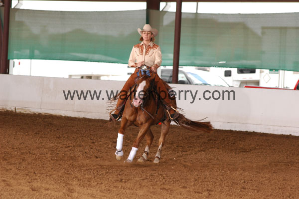 304 BC08p18A.3 - 124