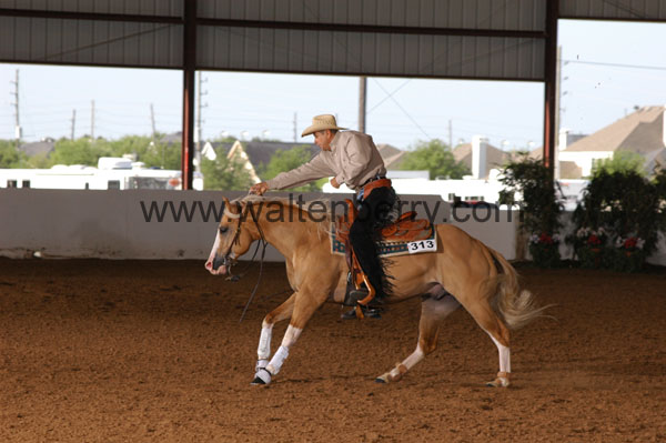 313 BC08p18A.1 - 122