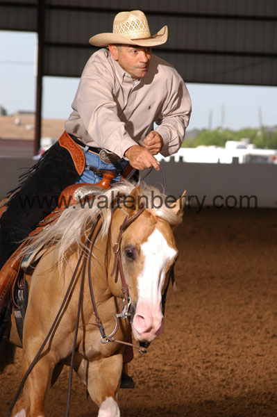 313 BC08p18A.1 - 125