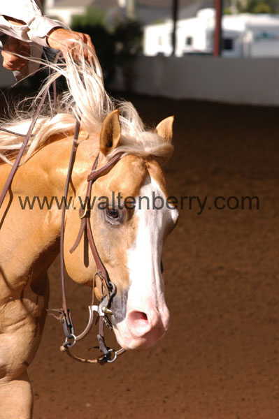 313 BC08p18A.1 - 127