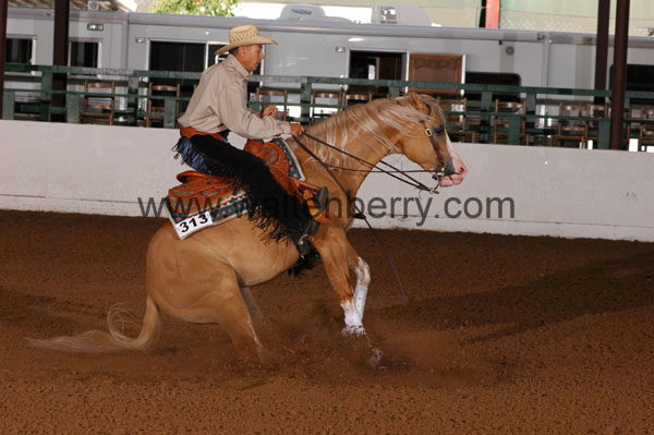 313 BC08p18A.1 - 128