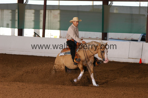 313 BC08p18A.1 - 129