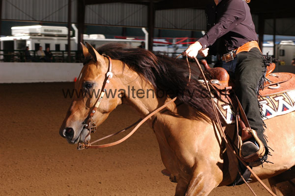 341 BC08p16B.2 - 158