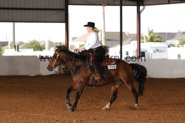 376 BC08p18A.1 - 083