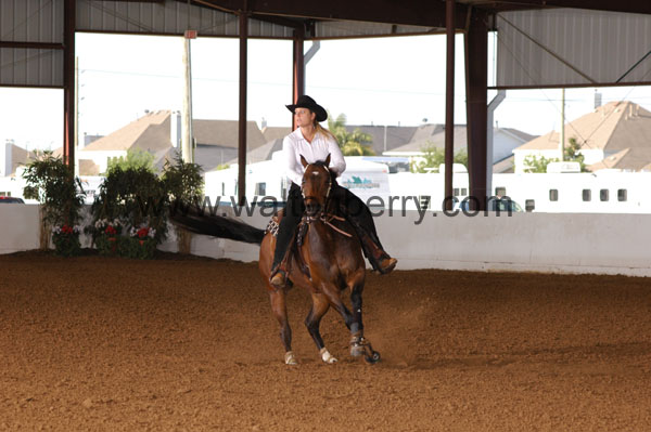 376 BC08p18A.1 - 084