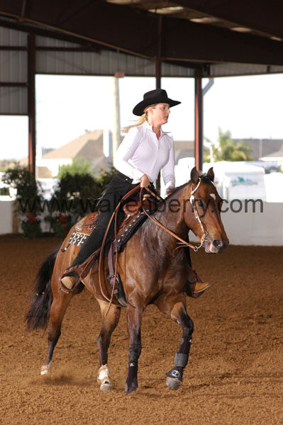 376 BC08p18A.1 - 087