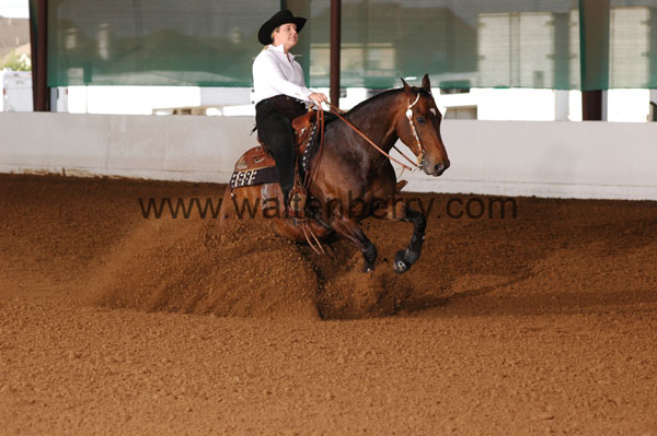 376 BC08p18A.1 - 090