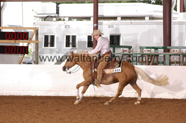 431 BC08p18A.2 - 168