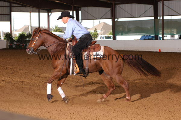 465 BC08p14B.1 - 170