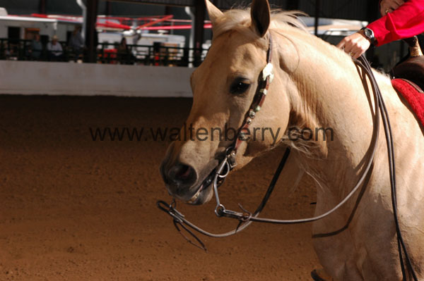 616 BC08p16B.2 - 057