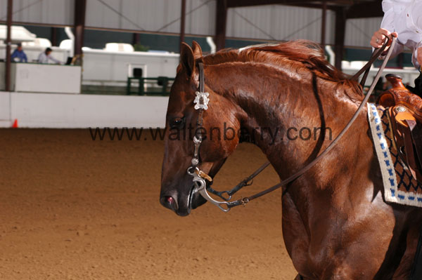 635 BC08p16B.2 - 180