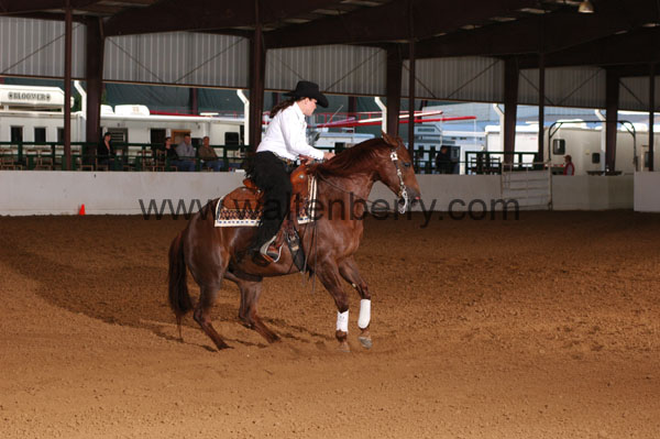 635 BC08p16B.2 - 184