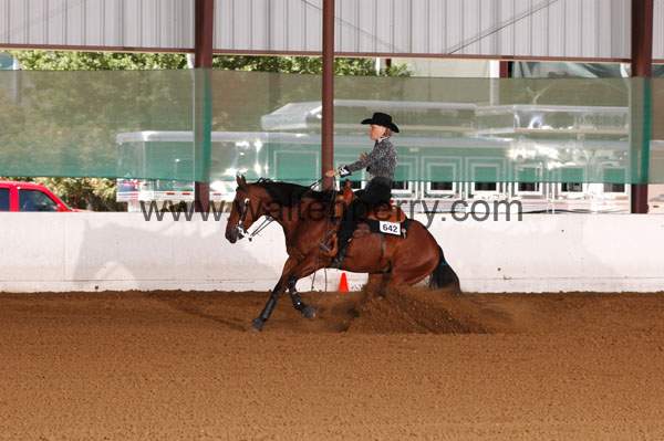 642 BC08p16B.2 - 040