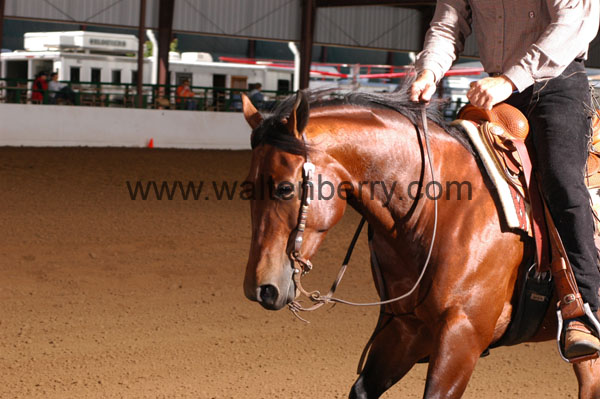 646 BC08p16B.2 - 109