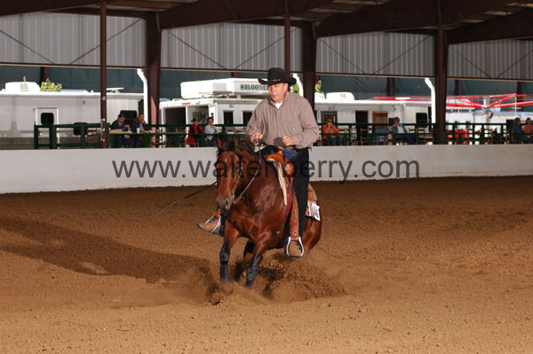 646 BC08p16B.2 - 110