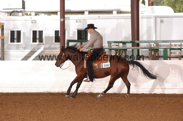 646 BC08p18A.3 - 097