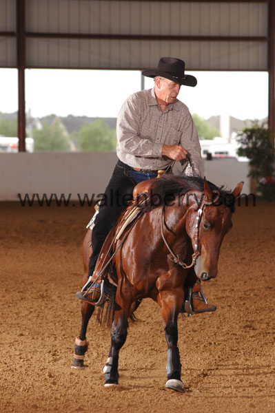 646 BC08p18A.3 - 099