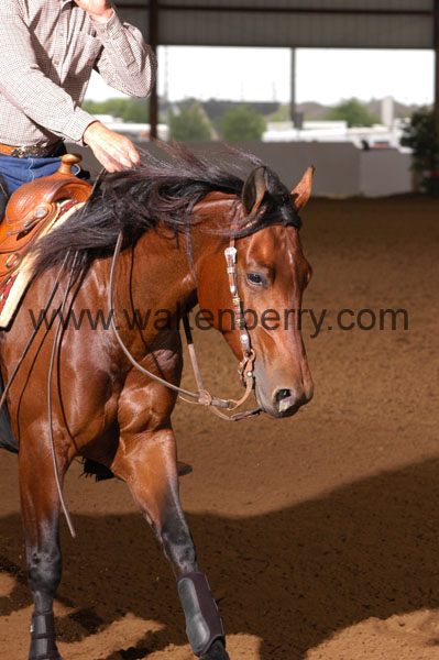 646 BC08p18A.3 - 100