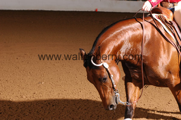 658 BC08p16B.1 - 036