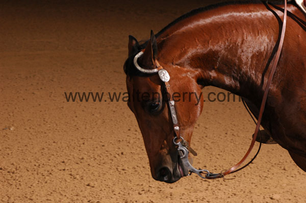 658 BC08p16B.1 - 037