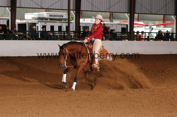 658 BC08p16B.1 - 039