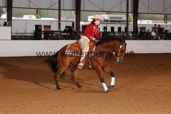 658 BC08p16B.1 - 040