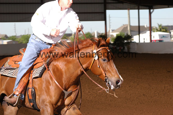 664 BC08p14B.1 - 123