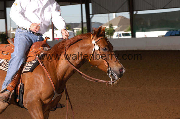 664 BC08p14B.1 - 124