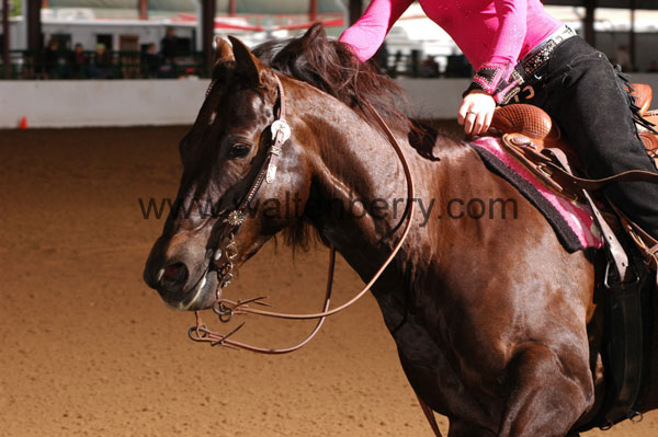 667 BC08p16B.1 - 030