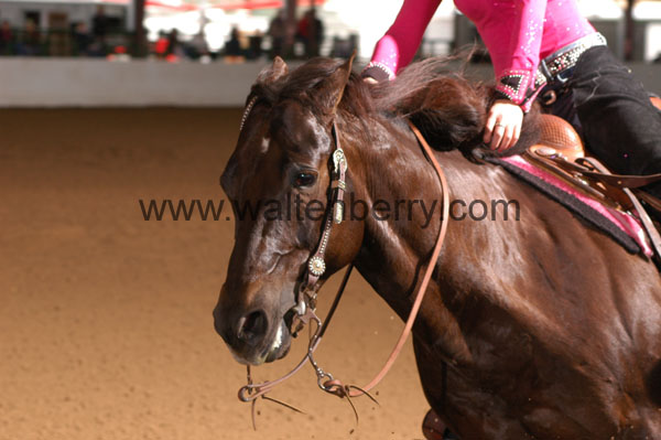 667 BC08p16B.1 - 031