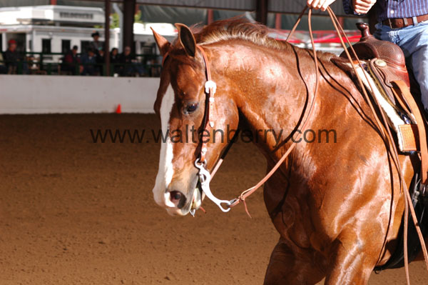 674 BC08p16B.2 - 028