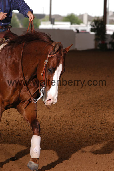 674 BC08p18A.3 - 083