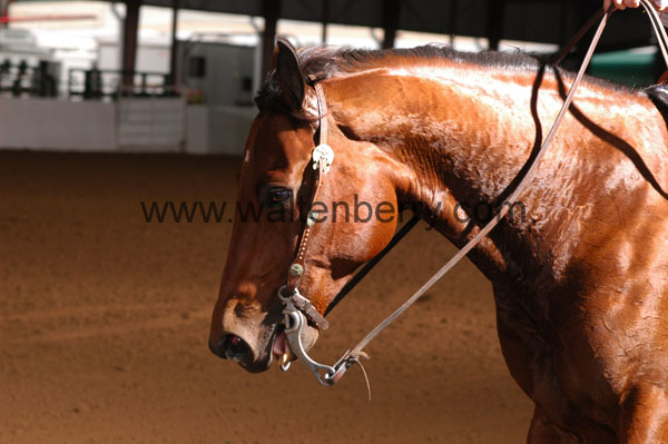 685 BC08p16B.1 - 050