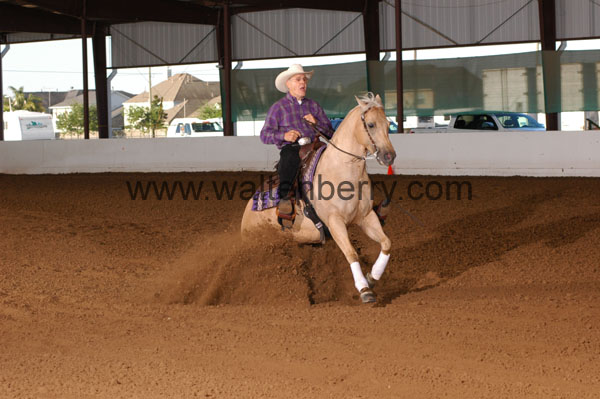 727 BC08p14B.1 - 034