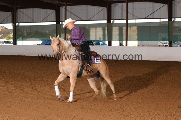 727 BC08p14B.1 - 035