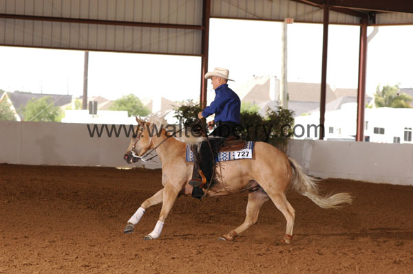 727 BC08p18A.2 - 076