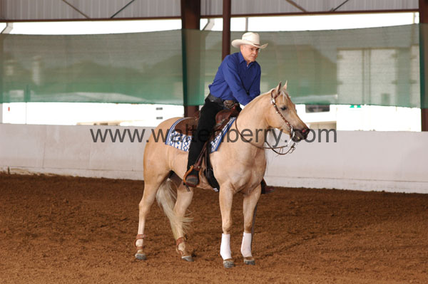 727 BC08p18A.2 - 085