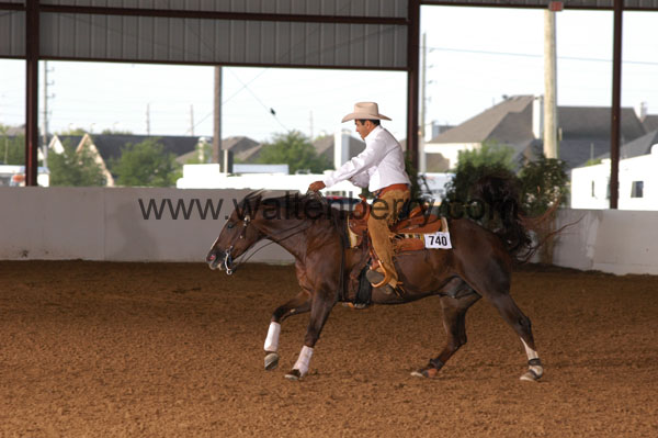 740 BC08p18A.1 - 037