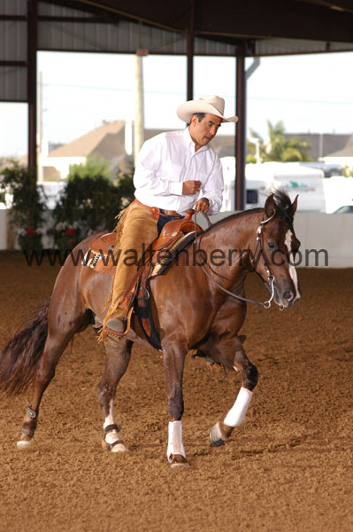 740 BC08p18A.1 - 041