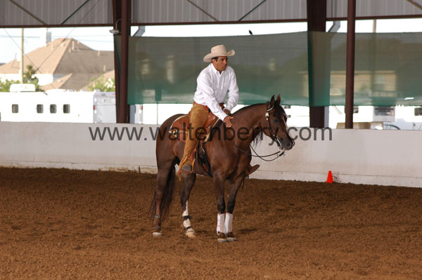 740 BC08p18A.1 - 044